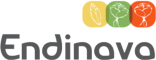 endinava logo